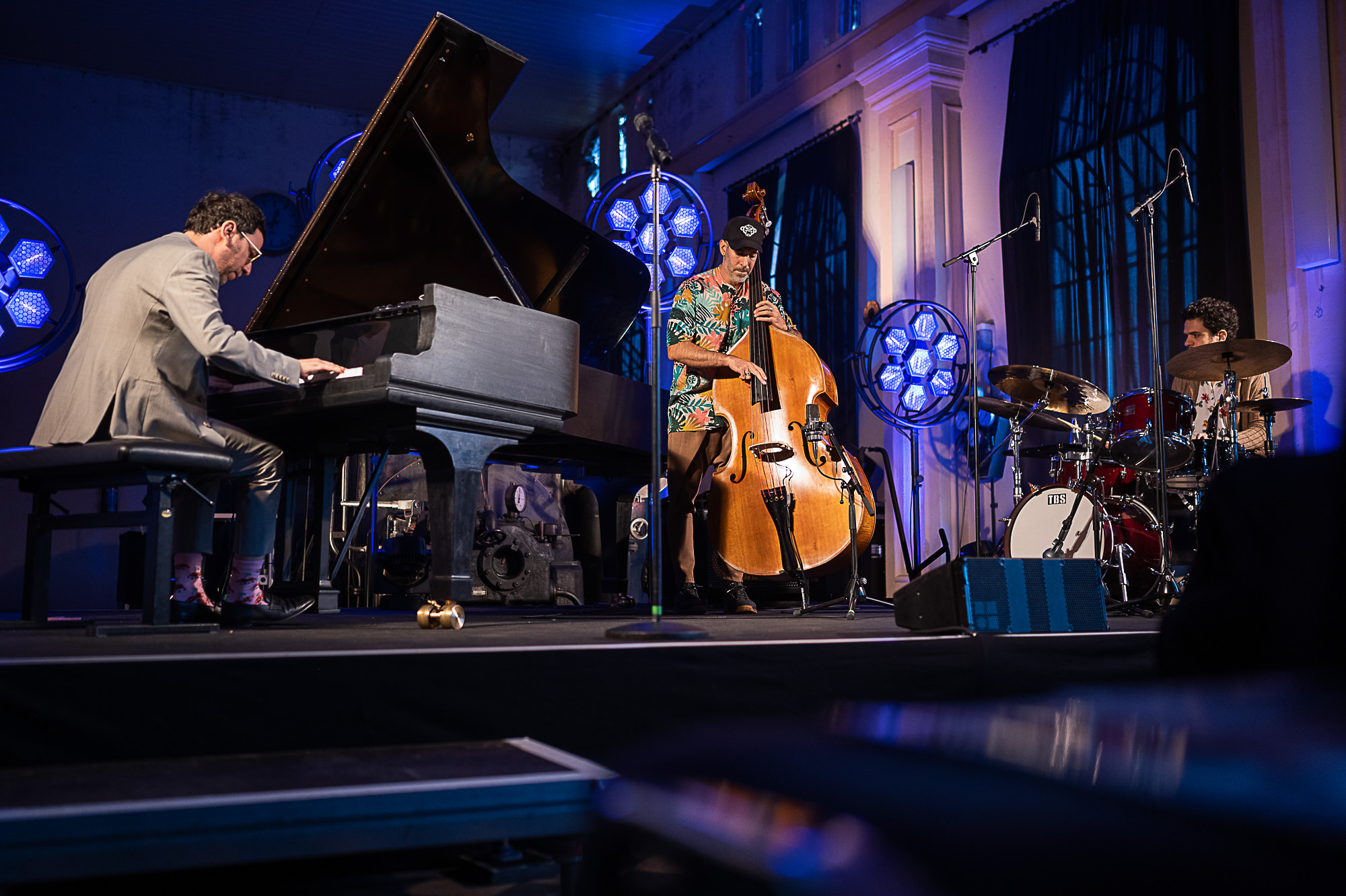 Musicians